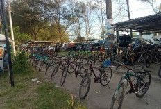 Sewa Sepeda di Pantai Panjang Kini Jadi Favorit Pengunjung, Ayo ke Sini, Tarifnya Murah Meriah