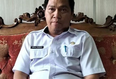  PAD Pajak di Benteng Capai 49 Persen