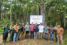 Satgas PKH Pasang Plang Kawasan TNKS, Ini Alasannya