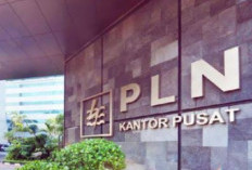 PLN Buka Lowongan Kerja, Ini Posisi yang Dibutuhkan, Berikut Syaratnya