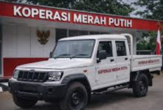  Viral! Impor 105 Ribu Pikap untuk Kopdes Dipertanyakan, Ini Respons Mendag