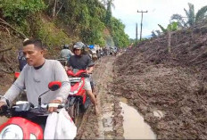 Akses Lalu Lintas Manna- Pagar Alam Kembali Normal, Pengendara Diimbau Waspada Longsor Susulan