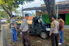 Mobil Tabrak Pohon, Gara-gara Hindari Tabrak Orang