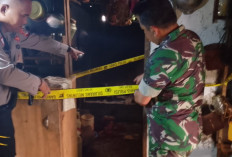 Pria Lansia di Lubuk Mumpo Tewas Ditusuk Anak Kandung, Polisi Amankan Pelaku
