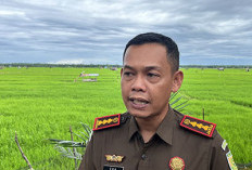  Ini Daftar Aset Mantan Bupati   Seluma yang Segera Dilelang 