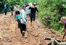 Semangat Kebersamaan, Warga Tanjung Aur Swadaya Perbaiki Jalan Desa