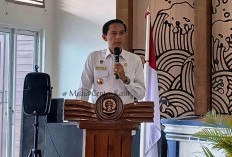 Bupati Kaur Targetkan Penertiban   Ternak Tuntas Tahun Ini
