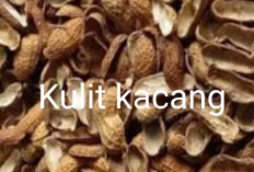 Pupuk dari Kulit Kacang, Berikut Cara Membuat dan Manfaatnya 