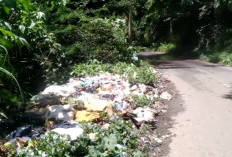  Sampah di Lebong Menumpuk di TPS , Ini Penyebabnya