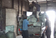  Penjualan Beras Talang Benih Tersendat