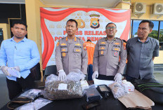 Tangkap Bandar Narkoba, Polresta Bengkulu Sita 1,9 Kg Ganja
