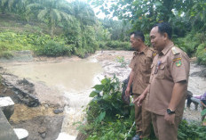 Bendungan Jebol, Ancam 200 Hektar Sawah di 3 Desa Ini, Perbaikan Ditargetkan Segera Dilakukan
