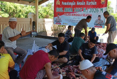 Polres Bengkulu Selatan Tebar Kepedulian, Kurban 16 Ekor Sapi untuk Ribuan Warga