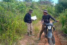 Hutan Dirambah di Mukomuko Diusulkan Izin   ke Kementerian Kehutanan RI,  Segini Jumlahnya