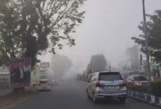 BMKG Sebut Udara Pagi di Bengkulu Tak Sehat, Ini Alasannya