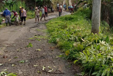 Gotong Royong Tebas Bayang Jalan Lintas Kepahiang, Warga Bersihkan Rumput Menuju Wisata Kabawetan  