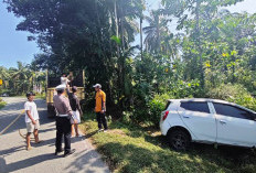 Hantam Pohon Kapuk, Kades Kedataran Tewas