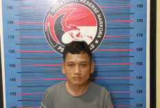 Pengedar Sabu Ditangkap, Ini Dia Barang Bukti yang Berhasil Diamankan Tim Dit Reserse Narkoba Polda Bengkulu