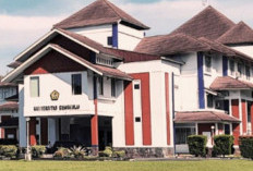UNIB Pastikan UKT-IPI Tak Naik, Ini Penjelasan Wakil Ketua PPID Universitas Bengkulu