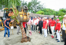 Turunkan Alat Berat, Tanam Pohon Kelapa, Program Tanam 10 Ribu Pohon Kelapa di Pantai Panjang, Bengkulu 