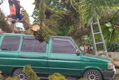 Warga Diminta Waspada Badai Angin Kencang