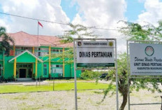 Petani di Mukomuko Usulkan   Penundaan Cetak Sawah, Ini Penyebabnya