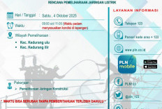 PLN Lakukan Pemeliharaan Jaringan, 2 Kecamatan di Bengkulu Selatan Alami Pemadaman