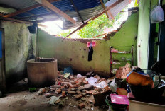 Angin Kencang Terjang Bengkulu Selatan, 3 Titik Terdampak Termasuk Asrama Kodim 0408