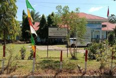  Pelaku Usaha di Mukomuko   Difasilitasi Sertifikat Halal, Ini Tujuannya
