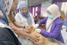  Mukomuko Targetkan Bebas Rabies, Begini Caranya