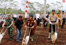 Polres Lebong Tanam Jagung Serentak, Segini Luas Lahannya