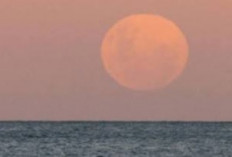 Fenomena Alam, Super New Moon, 8 Wilayah Pesisir ini Terdampak