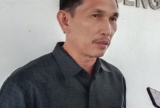 Kerja Pansus Tuntas, Revisi Perda Pajak Disahkan 25 Agustus Besok, Begini Penjelasan Ali Saftaini