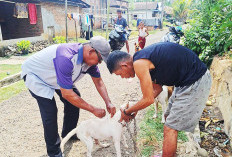 Stok Vaksin HPR Ditambah Segini