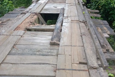 Jembatan Desa Cinto Mandi Rusak Parah, 2 Desa Terancam Terisolasi