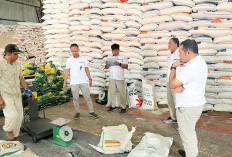 Bulog Rejang Lebong Siapkan Stok Beras Segini