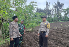 Desa Kampung Baru   Dukung Ketahanan Pangan di Rejang Lebong, Begini Caranya