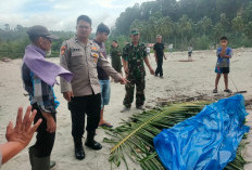 BREAKING NEWS : Warga Kaur Temukan Mayat Remaja  di Laut, Ini Ciri-cirinya