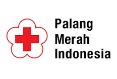 PMI  Buka Lowongan Kerja Juni 2026, Ini Posisi dan Syaratnya