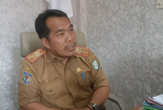  WFH, Kadis dan Kabid   di Kepahiang Wajib Ngantor 
