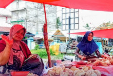 Harga Daging Ayam Rp 48 Ribu,  Jadi Catatan Dinas Ketahanan Pangan
