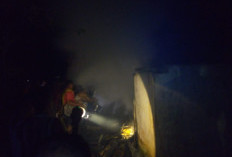Pembakaran Sampah Picu Kebakaran Kayu di Bunga Mas