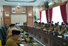 Masih Butuh 121 Dapur MBG, Ini Hasil Rapat Percepatan Pelaksanaan MBG yang Dipimpin Gubernur Bengkulu 