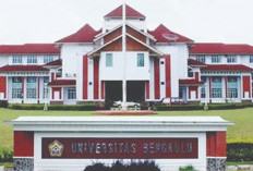  Ini 3 Besar Calon Rektor Universitas Bengkulu, Hasil Penjaringan Aspirasi Responden 