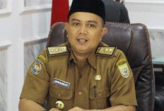 Target Magang Pemerintah Fresh Graduate, Kepala Disnakertrans Provinsi Sebut Target untuk 2.000 Orang
