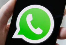 Fitur Baru WhatsApp Bisa Kirim Foto Tanpa Internet di Android-iPhone, Begini Caranya