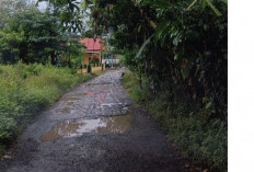  Jalan Menuju ke SMPN 25 Benteng Becek dan Berlubang