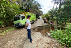 Akses Ulu Talo Lumpuh Total,   13 Desa Terancam Terisolir