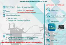 PLN Lakukan Pemeliharaan Jaringan di Pino Raya dan SAM Hari Ini, Listrik Padam Pukul 09.00 -15.00 WIB