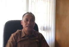 Program Replanting Sawit di BS Kuotanya 1.500 Hektar, Hanya untuk 5 Kecamatan Ini